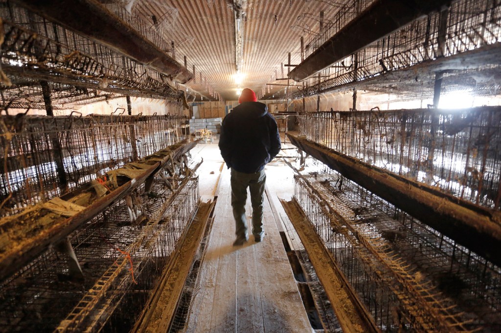 Bowden’s Egg Farm in Waldoboro Kennebec Journal and Morning Sentinel
