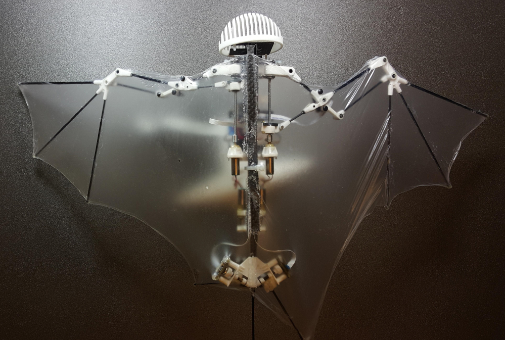 With wings that flap, Bat Bot, a 3-ounce flying robot, may be better at getting into treacherous places than standard drones. That's because it mimics the flexible way bats fly, authors of a new study note.