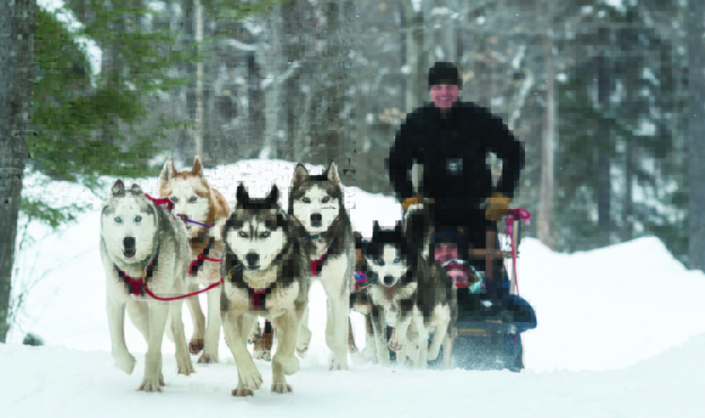 Heywood Kennels in Augusta will give dog sled rides Wednesday, Feb. 22, at the Viles Arboretum in Augusta.