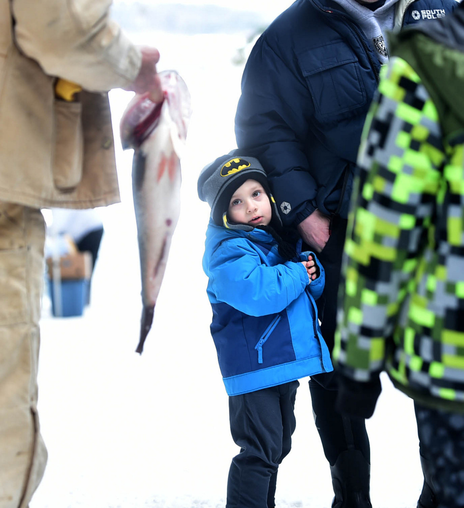 Christopher Roy, 3, looks warily at a large 5-pound bass caught Saturday by Chris Lee during the Albion Lions Club-sponsored fifth annual Ice Fishing Derby on Lovejoy Pond in Albion.
