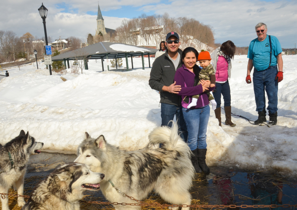 Heywood kennel sales sled dog adventures