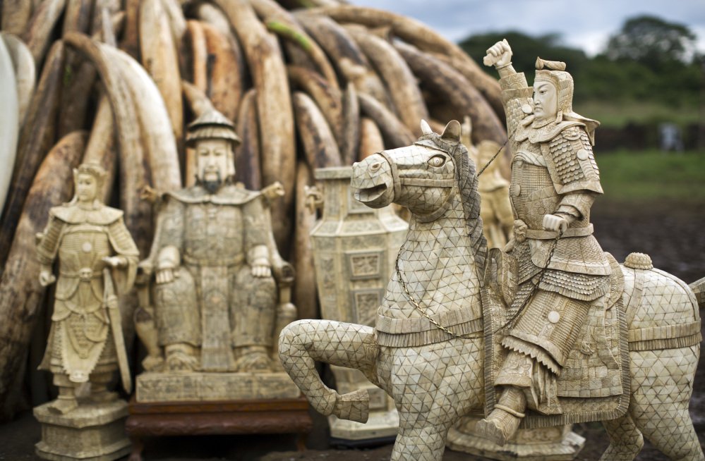 FILE - In this Thursday, April 28, 2016 file photo, confiscated ivory statues stand in front of one of around a dozen pyres of ivory, in Nairobi National Park, Kenya. A leading elephant conservation group said Wednesday, March 29, 2017 that the price of ivory in China has dropped as the country moves toward a ban on the legal trade of ivory this year. (AP Photo/Ben Curtis, File)