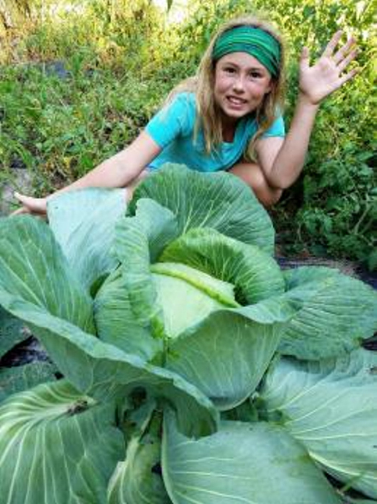 Winthrop Grade School's Annabelle Blais is the Maine state winner of the National Bonnie Plants Cabbage Program.