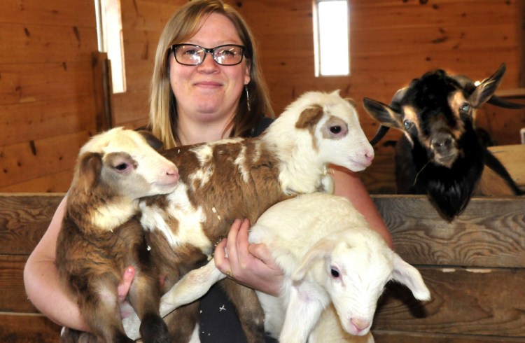 Unity College barn manager Megan Anderson on Thursday holds an armload of lambs — including two of a new set of triplets — born recently at the college. From left are lambs Mojave, Shiloh and Mammoth. At right, a goat joins the group photo.