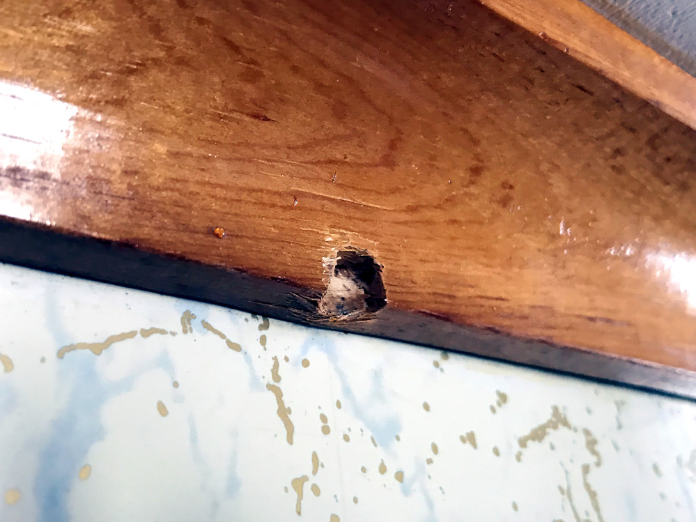 A bullet hole seen Friday in the kitchen crown molding in Audrey Hewitt's Sidney home shows evidence of her son's March 12 struggle with an intruder.