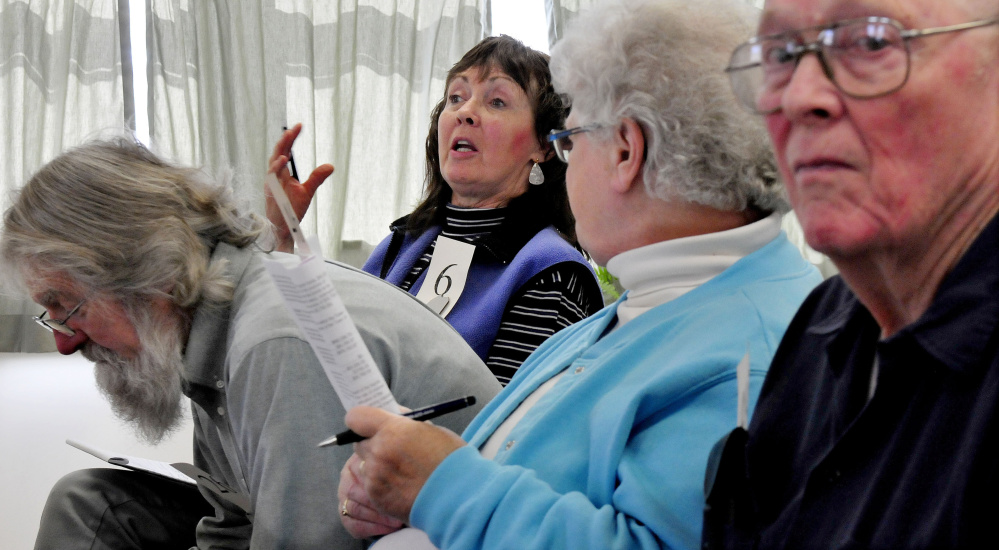 Thorndike resident Bonnie Kern proposes an amendment to an article regarding interest rates on unpaid taxes during the annual town meeting on Saturday.