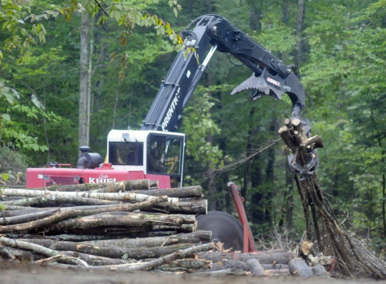 A loader sorts wood harvested at the Jamies Pond Wildlife Management Area in Manchester in this file photo from September. Work will continue this summer on the parcel of land managed by the Department of Inland Fisheries & Wildlife, which has said it wants to improve habitat for animals in the forest.