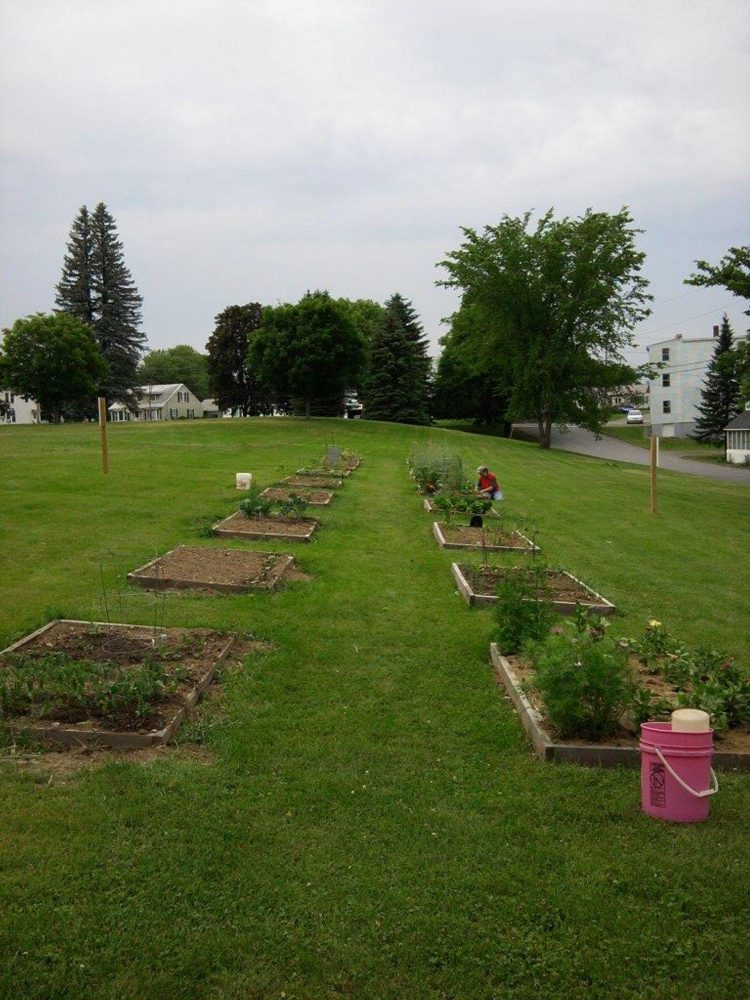 Use of the community garden on Dallaire Street in Winslow, seen during springtime, has dwindled since the garden was created in 2010, but the town's new parks and recreation director is aiming to boost participation this year.