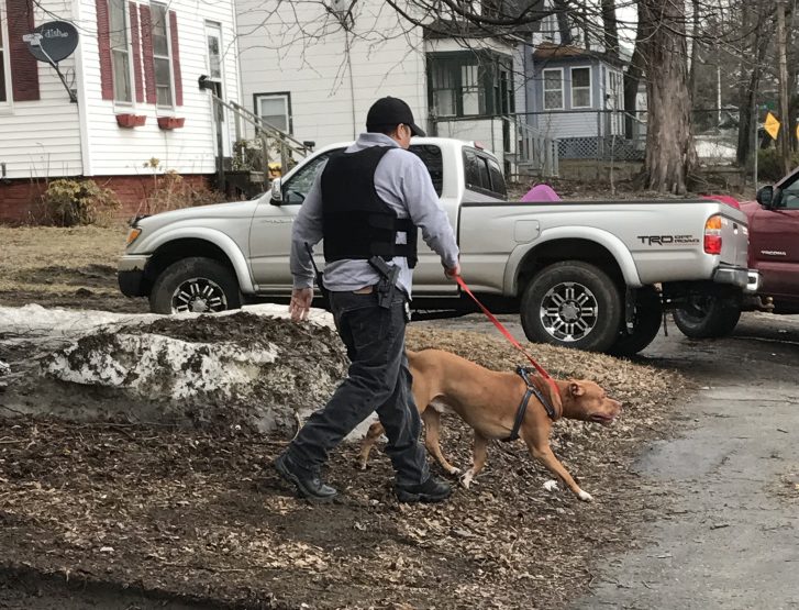 A police officer removes a dog from a residence Friday on Front Street in Waterville after the dog reportedly attacked its owner, who was injured and sent to the hospital.