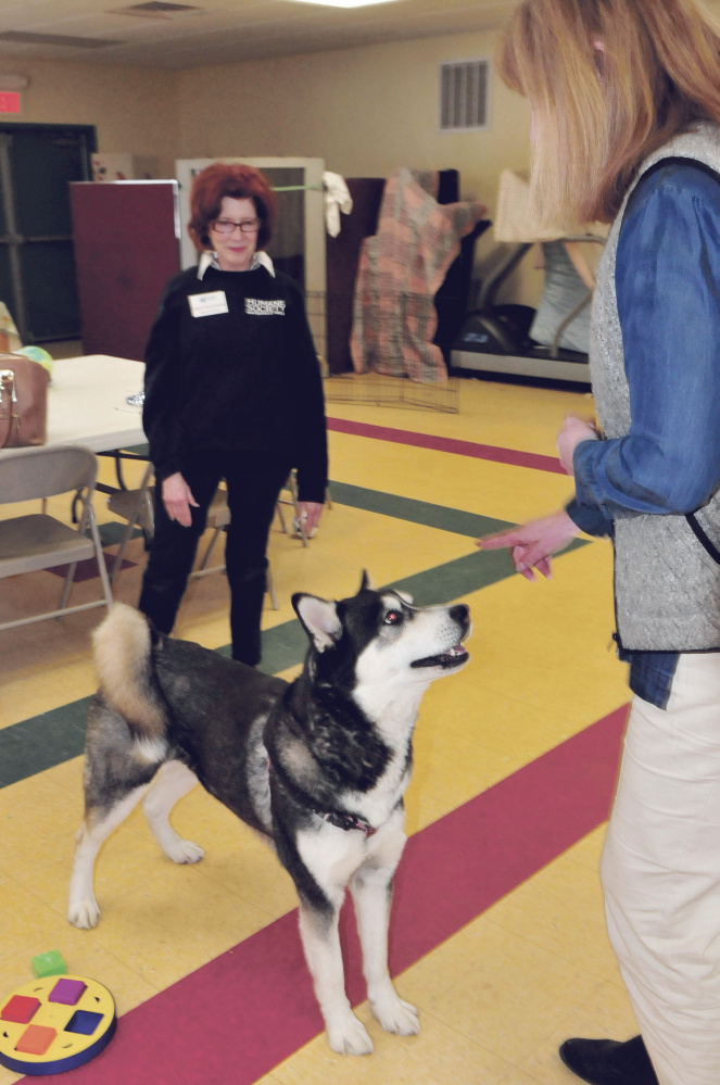 Dakota is the center of attention between Waterville Area Humane Society board member Joann Brizendine, left, and Director Lisa Smith on March 30 at the Waterville facility.