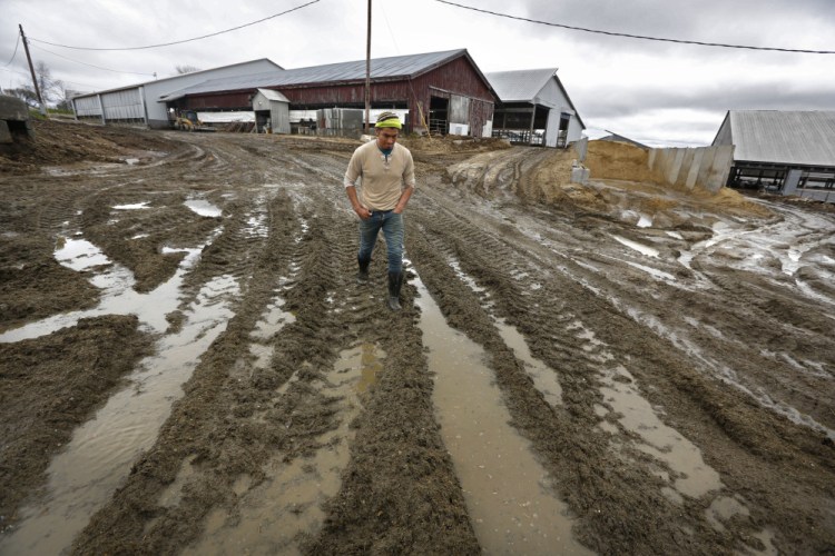 Raoul Rivera walks over muddy ruts left by the tractor he drives at the Brigeen dairy farm Thursday in Turner. Mud season is an annual mucky rite of spring in northern New England, and this year it's gloppier than typical in some parts of the region, and it's hanging around for longer than usual.