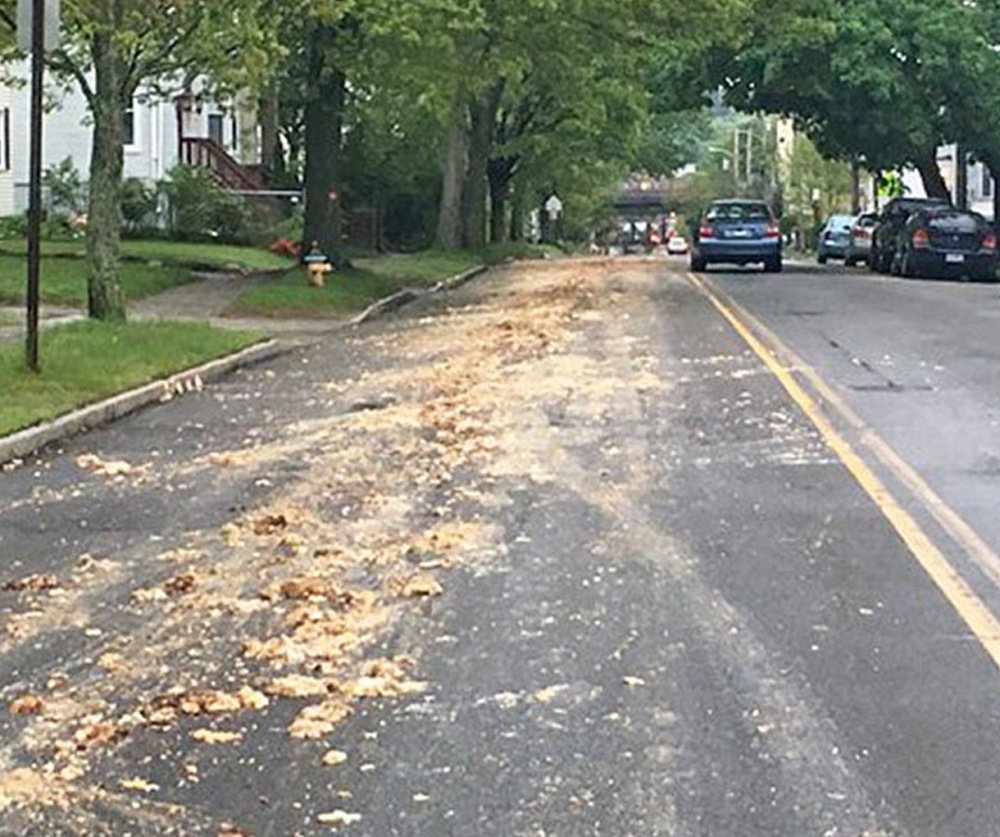 A lane of St. John Street between Park and Brighton avenues in Portland is strewn with chicken parts Tuesday morning. A truck's tailgate malfunctioned, allowing the waste to fall out.