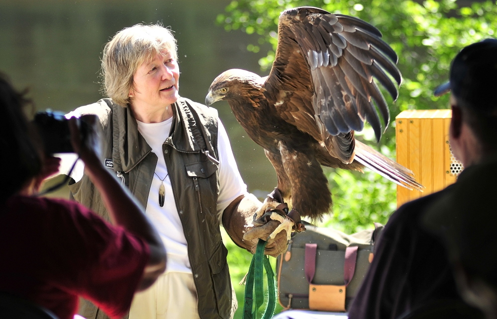 Wind Over Wings founder Hope Douglas talks about a golden eagle named Skywalker during an educational event July 12, 2014, on Swan Island in Richmond. State officials are planning a controlled burn there this week to improve bird habitat.