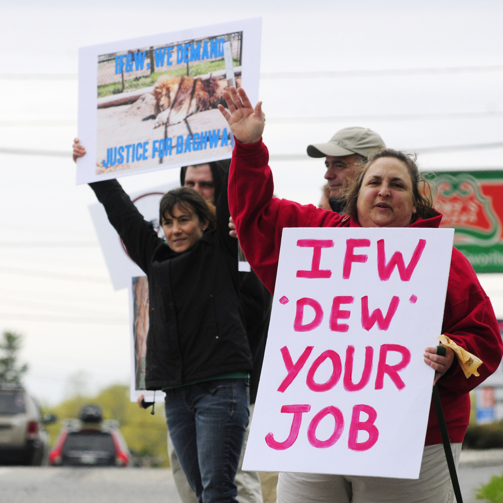 About a dozen protesters hold up signs Friday outside the Maine Department of Inland Fisheries & Wildlife headquarters in Augusta, demanding that the department investigate DEW Haven in Mount Vernon.