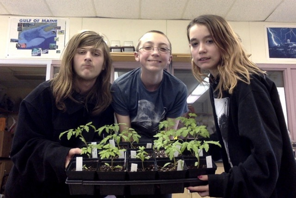 Wiscasset Middle High School Science students, from left, Isaiah DeCosta, Xavier Poissonnier and Chloe Desjardins exhibit some of the heirloom tomato seedlings that will be available at the sale.