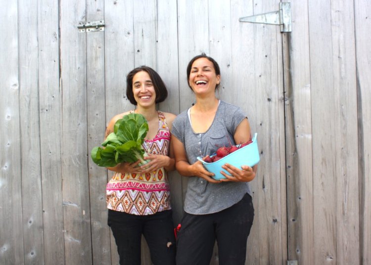 Farmer Flora Brown, left, with help from apprentice Mary Jo Scott, is launching a meal kit company called BEEP Box next month from Frinklepod Farm in Arundel. The kits, featuring local food that's organic and vegan, will sell for $20.