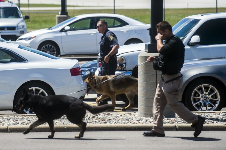 Police dogs search cars in a parking lot at Bishop International Airport on Wednesday morning in Flint, Mich. Officials evacuated the airport after an airport officer was stabbed in the neck.