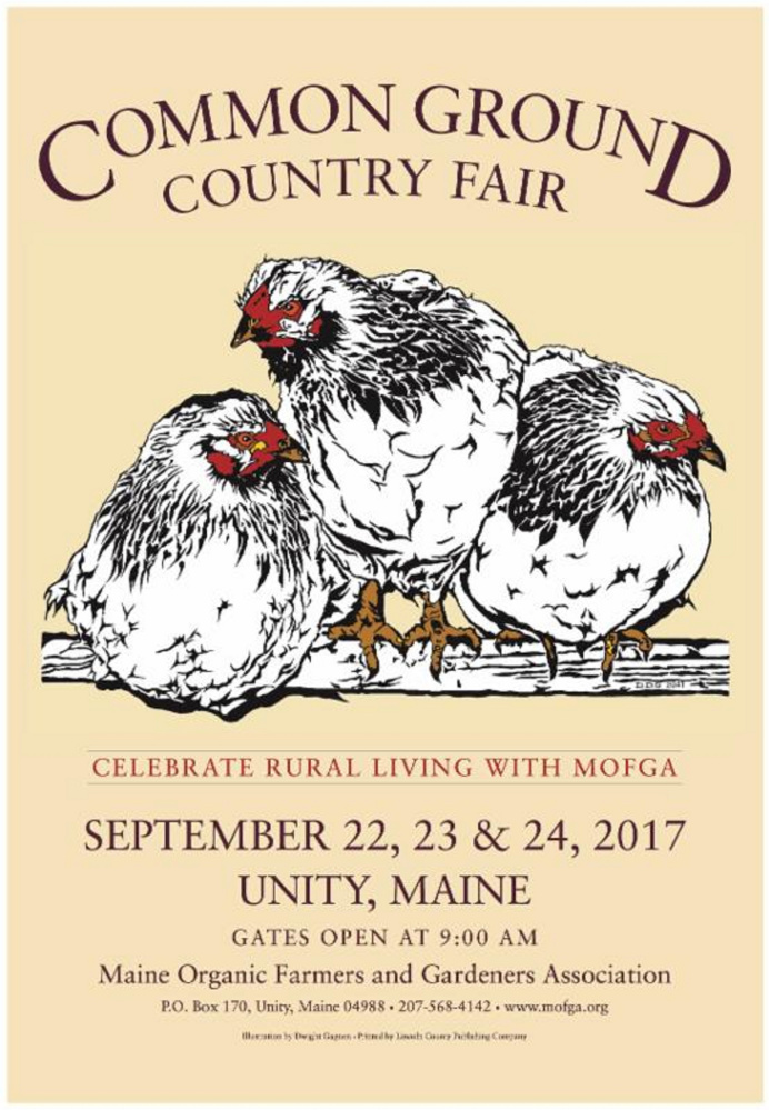 Dwight Gagnon, of Benton Falls, winning entry for the 2017 Common Ground Country Fair poster contest features three roosting Columbian Wyandotte chickens.