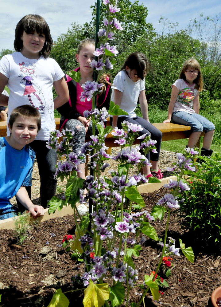 Bloomfield Elementary School students look over the thriving flowers growing in a butterfly garden created from donated materials and plants at the Skowhegan school Wednesday.