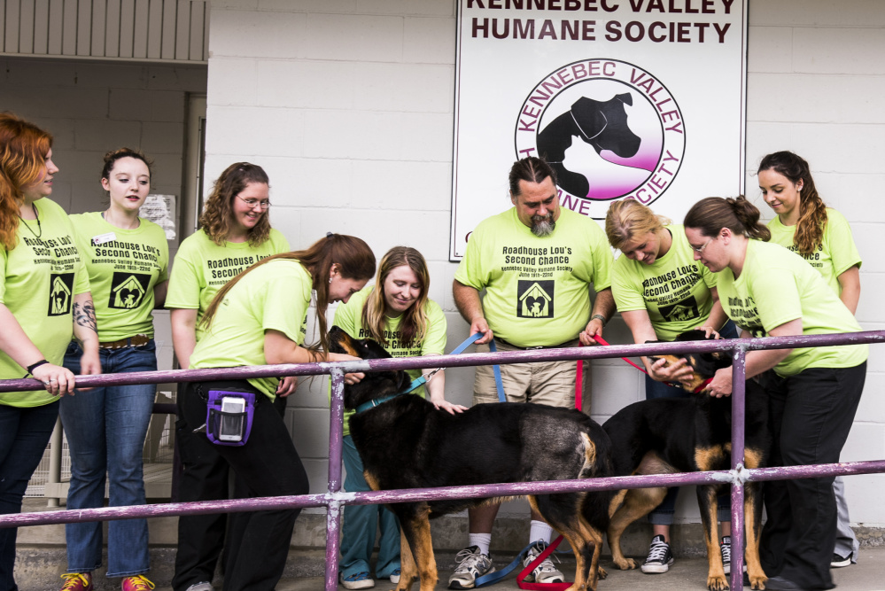 Former local radio personality ‘Roadhouse Lou’ to spend 76 hours in Augusta dog kennel