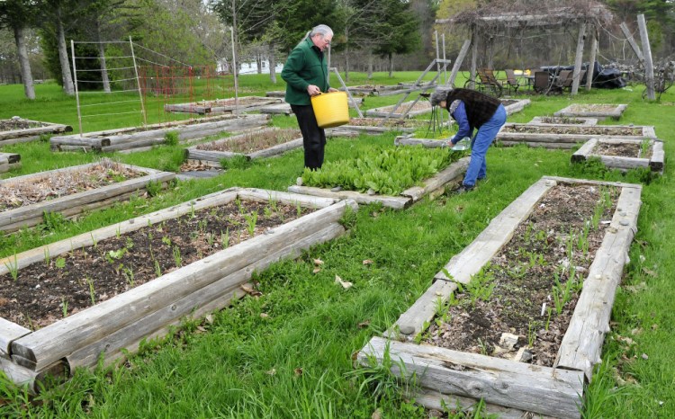 Phil Frizzell and his wife, Connie Bellett, water growing vegetables in the Community Garden they started May 10 in Palermo. The couple hauled the water from the Windsor Town Office, 8 miles away. The Malcolm Glidden American Legion Post 163 has refused to connect a water supply to the rental space.