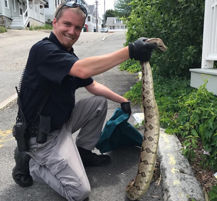 Boa snake spotted by hikers on popular hiking trail