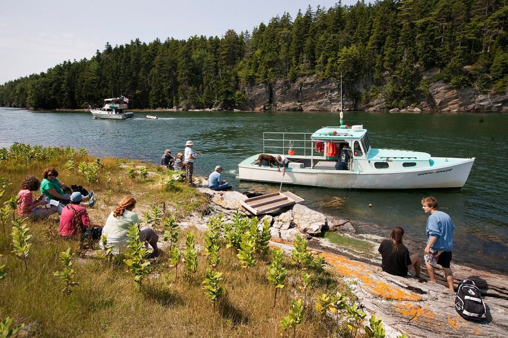 People enjoy lunch on Malaga Island as the boat returns to bring them back to mainland Phippsburg in 2014. 