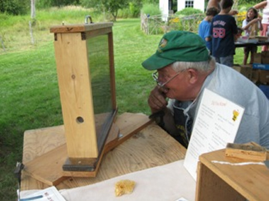 Peter Lammert, of Thomaston, views an observation hive of live bees at a previous Open Farm Day event.