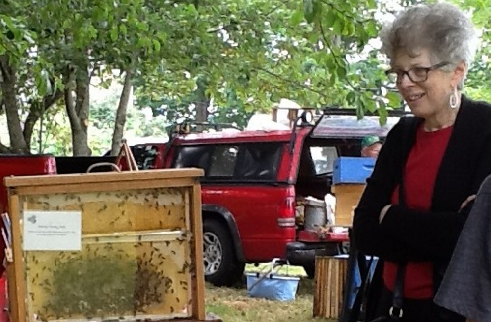 A visitor views the hive of live bees at a previous Open Farm Day event.