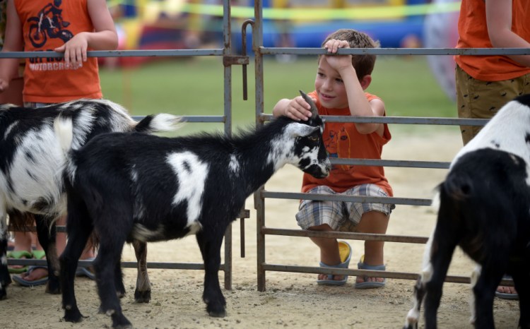 Nathan Cochran, 8, pets a goat at the petting zoo during Oakfest near Williams Elementary School in Oakland on July 23, 2016. The 2017 version of Oakfest kicks off on Friday.