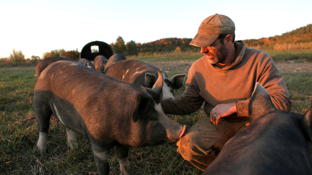 Bob Comis has provided a humane — even idyllic — life for the pigs he farms.