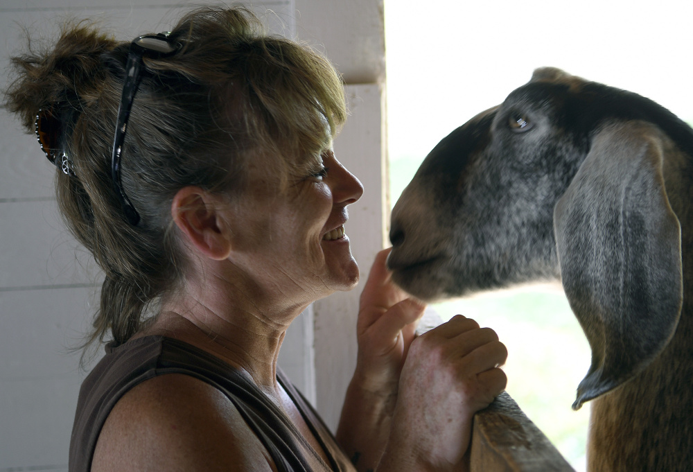 Gardiner goats draw visitors on Open Farm Day