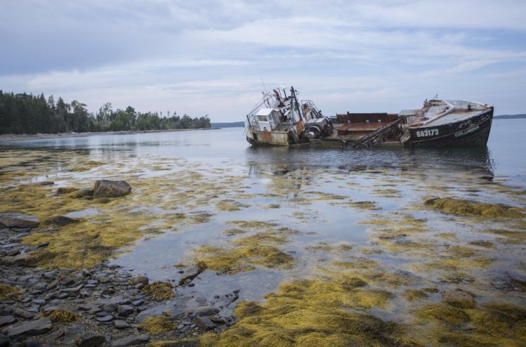 The Columbia sits stranded off Louds Island where it drifted aground after breaking free from its mooring last fall. This summer, another fishing boat was abandoned nearby, causing some residents to worry the area could become a vessel dumping ground.