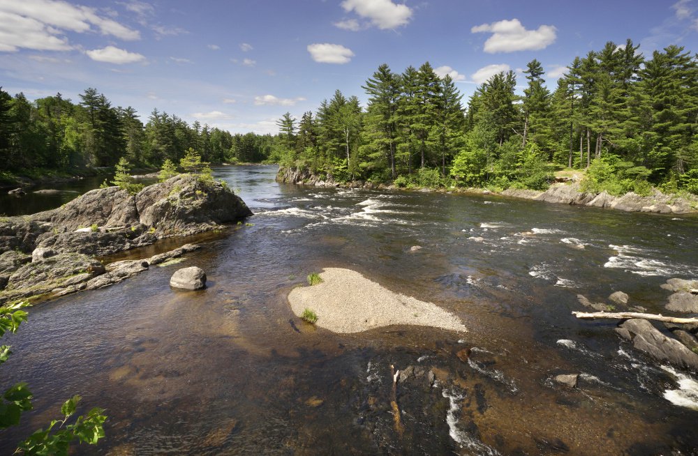 The East Branch of the Penobscot River near Whetstone Falls in the Katahdin Woods and Waters National Monument, photographed in June.