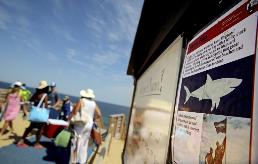 A shark advisory is posted at Marconi Beach in Wellfleet, Mass. The beach was temporarily closed to swimmers after a shark bit into a paddleboard on Wednesday.