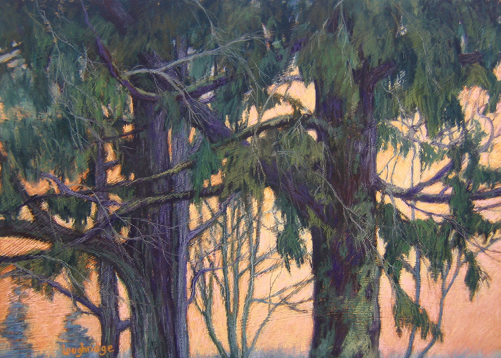 "Canopy," a soft pastel on panel.