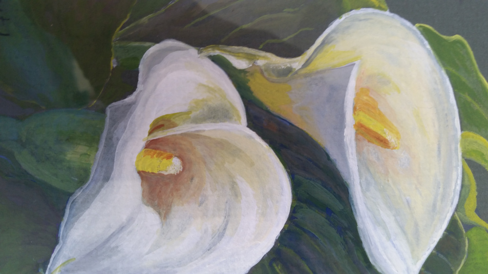Wiscasset Garden Club members will create complementary arrangements for paintings like this watercolor of calla lilies by Virginia Forrest for the Aug. 18 opening of Color in Bloom at the Maine Art Gallery in Wiscasset.