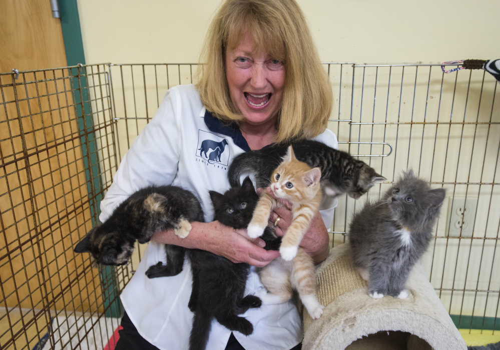 Gallery Waterville shelter adoption preview Kennebec Journal and