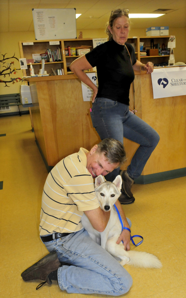 Glenn and Celeste Healey left the Humane Society Waterville Area shelter Sunday with a new dog named Sarah during the "Clear the Shelter" adoption weekend.
