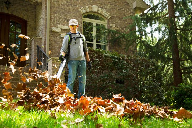 A lightweight leaf-blower can replace the burden of raking.