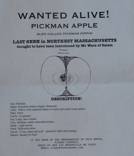 John Bunker's "wanted" poster for the elusive Pickman apple.