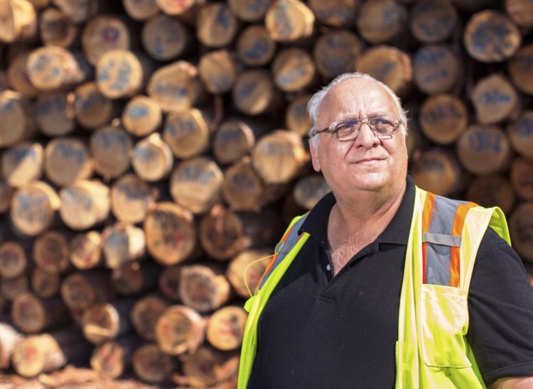 Arthur House, president of Searsport-based Maine Woods Biomass Exports, is shipping surplus softwood out of the former Verso Paper mill in Bucksport.