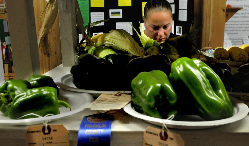 Ashley Brougham, of Chesterville, and others admire the entries of produce on display Tuesday in the agriculture building at the Farmington Fair. The fair runs daily through Saturday.