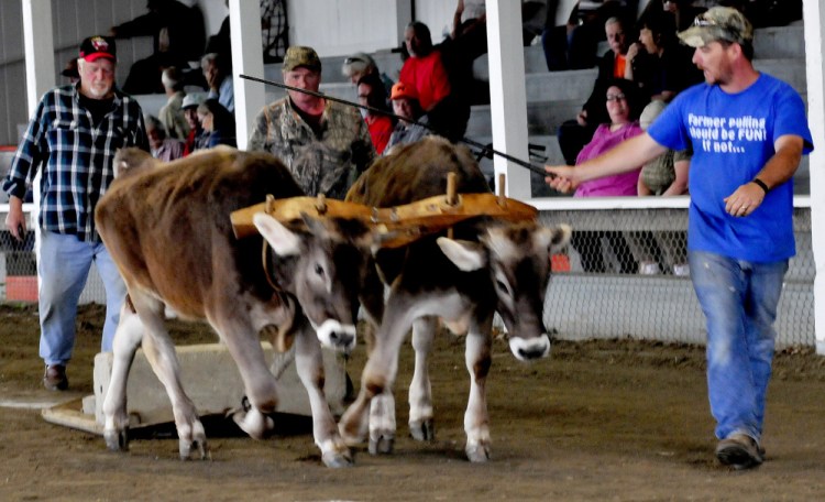 Jared Lane, of New Vineyard, urges his oxen Tom and Jerry to pull weight Tuesday during distance competition at the Farmington Fair. The fair runs through Saturday.