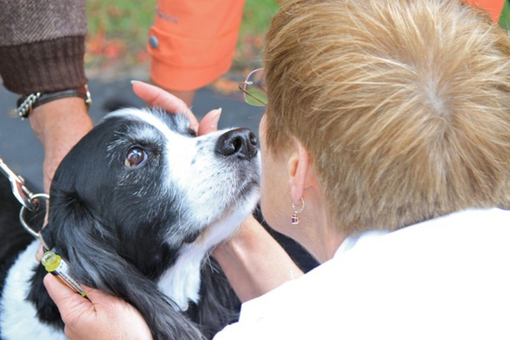 Cox Memorial United Methodist Church will hold a Blessing of the Animals Oct. 1 in Hallowell.
