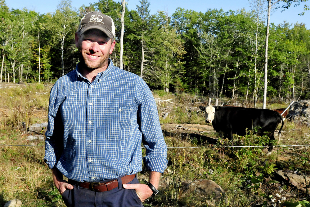 Jason Stutheit stands beside a pasture with cows and calves Wednesday at his Pond Hill Farm in Brooks. Stutheit found his Wagyu steer that had taken off a week ago from the Common Ground Country Fair site in Unity. It was grazing with a herd Wednesday night near the fairgrounds.