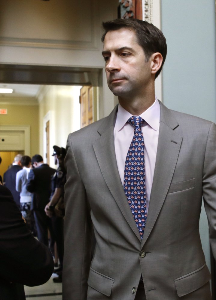 Sen. Tom Cotton, R-Ark., says talk of a Trump-Democrats deal on immigration is 'spin.' 
