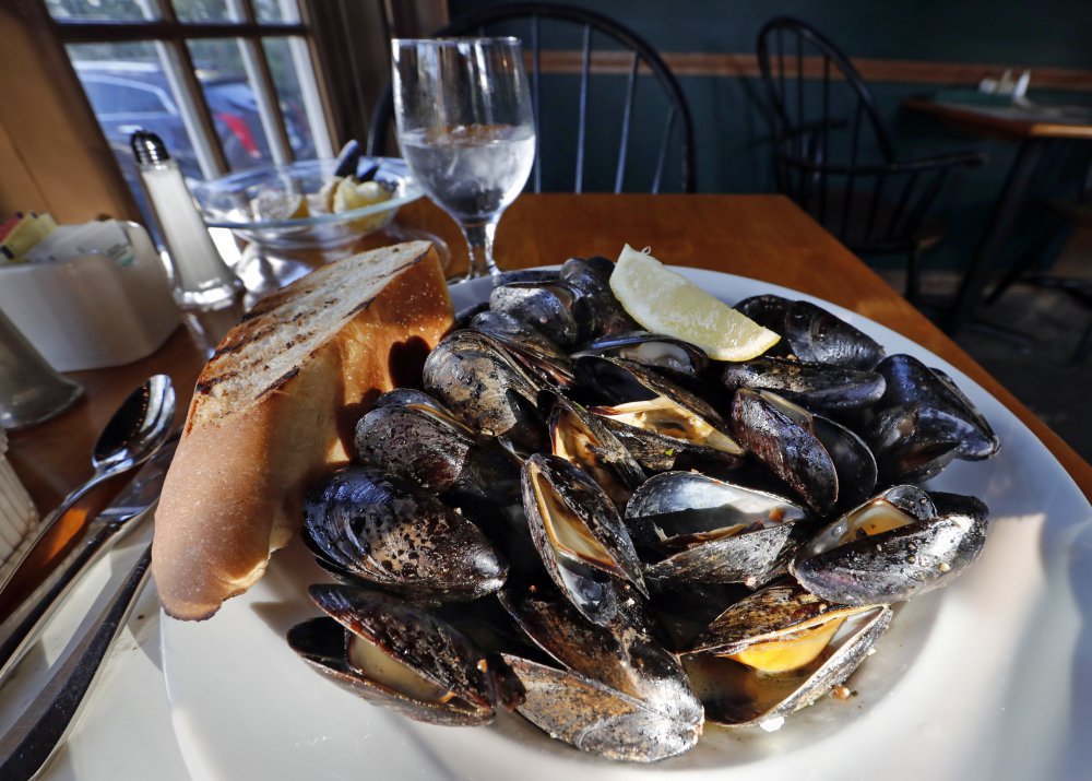 Maine mussels are loved by seafood fans, but the annual harvest has dipped in recent years.
