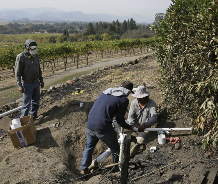 Workers begin repairs to a damaged irrigation pipe at the wildfire-damaged Signorello Estate winery in Napa, Calif., where blazes have bought much of the region's tourist-dependent economy to a standstill.