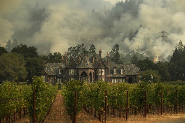 A wildfire burns behind a winery in Santa Rosa, Calif. Viral stories claiming a homeless man from Mexico was arrested on suspicion of arson for starting the wildfires that have left dozens dead are false. The Sonoma County sheriff's office tells the AP that the man was arrested, but the fire was a small one in a park that was quickly put out and there's no indication the fire is linked to the wildfire blazes.